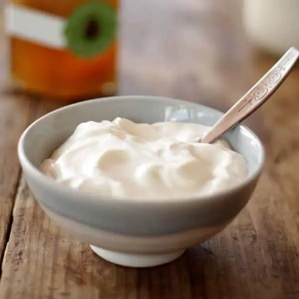 PLAIN YOGURT 